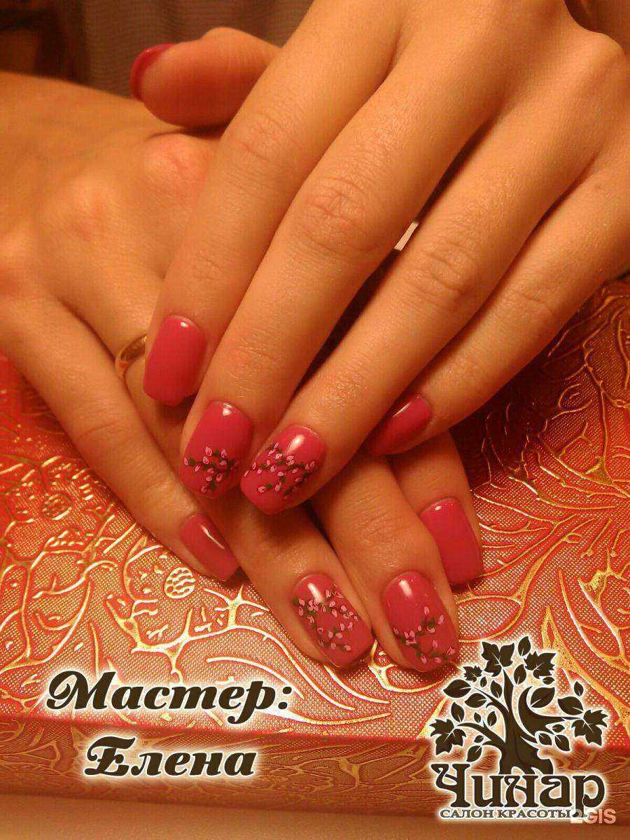 Отзывы на компанию Чинар в Ярославле c фото