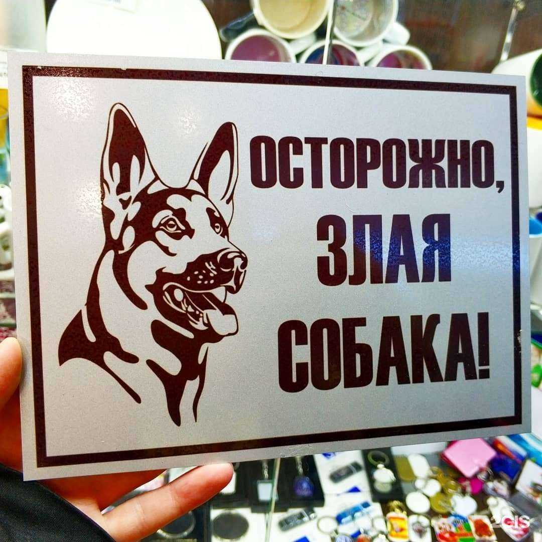 Отзывы на компанию Хамелеон в г. Бийск c фото