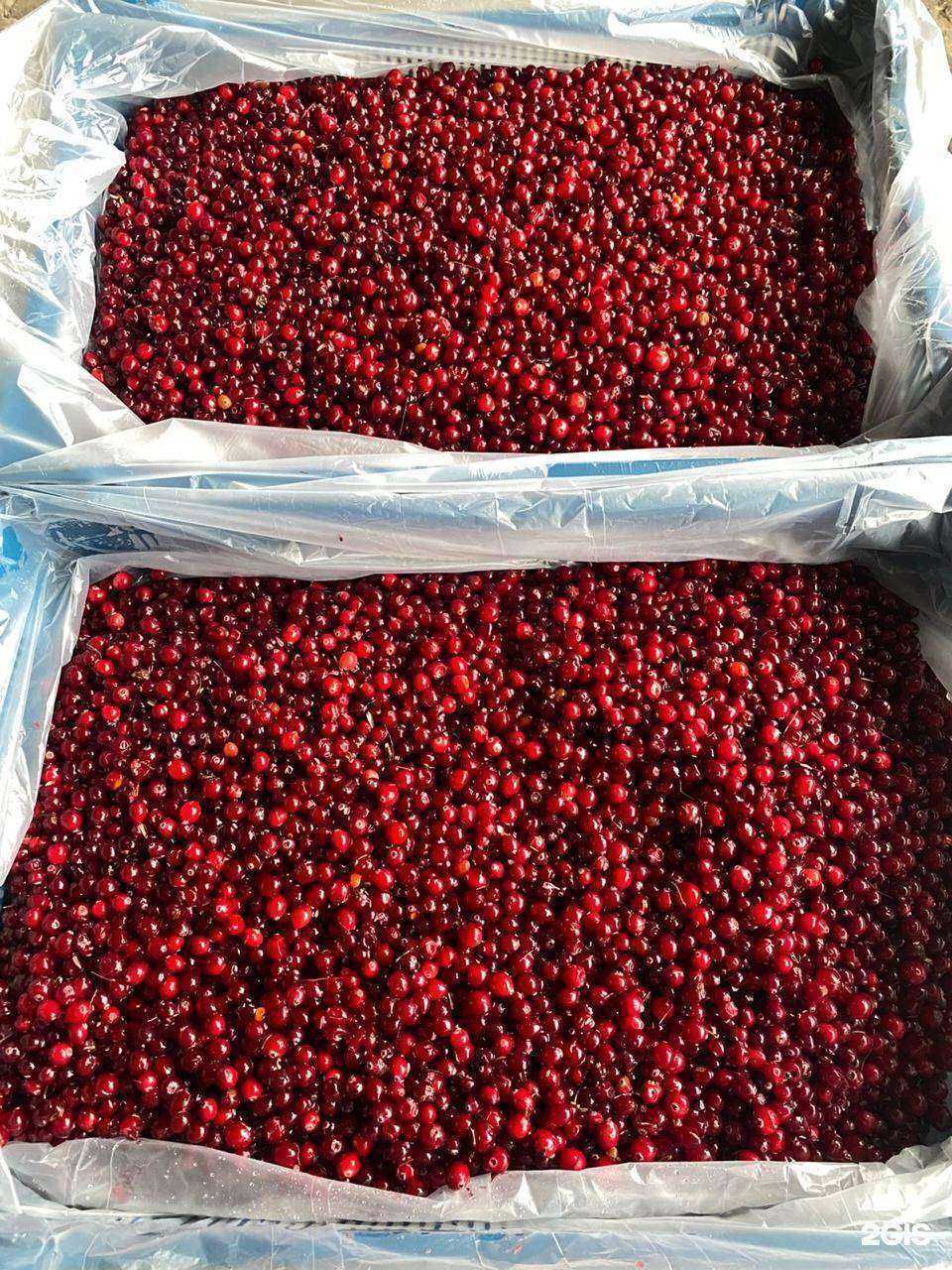 Отзывы на компанию Хант в Сургуте c фото