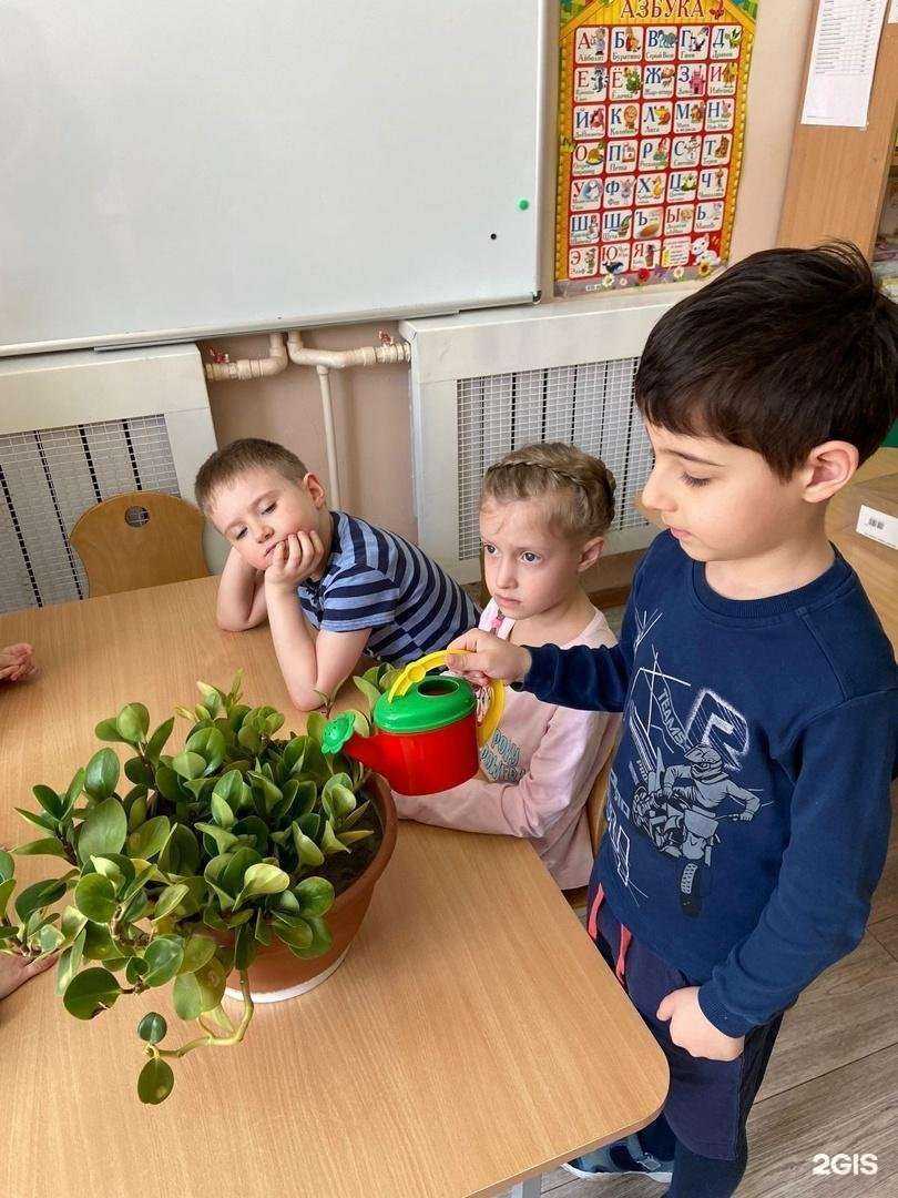 Отзывы на компанию Детский сад №22 в г. Кисловодск c фото