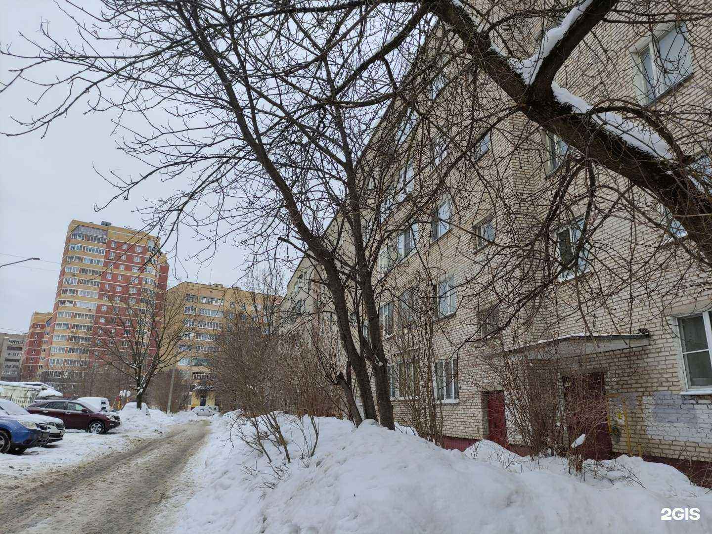 Отзывы на компанию Стрекоza в Истре c фото - фотография 2 из 2