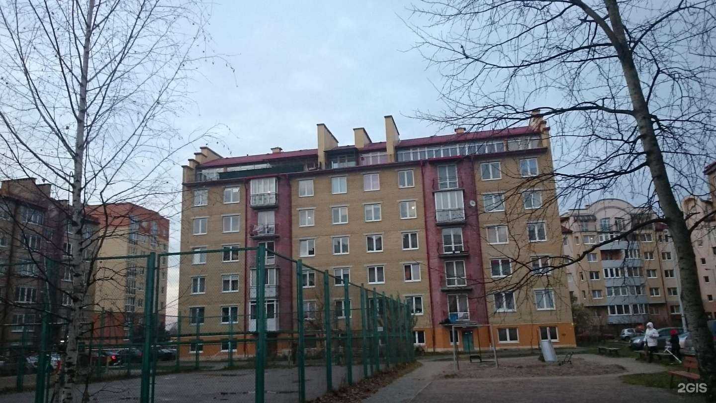 Отзывы на компанию Вита Профи в Калининграде c фото - фотография 3 из 3