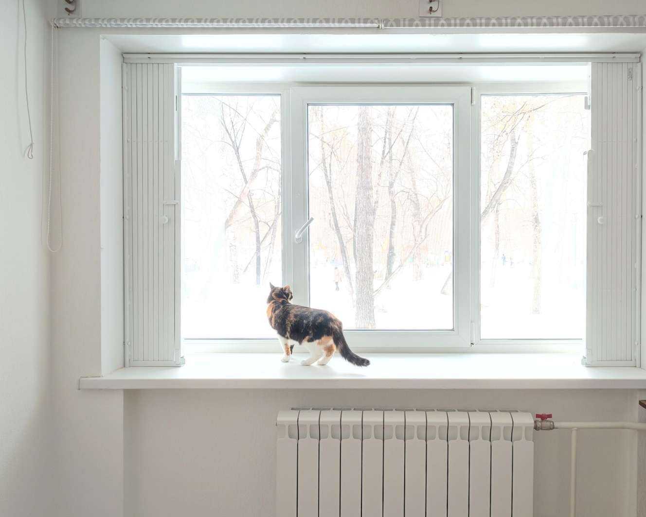 Отзывы на компанию Дор-сити в Екатеринбурге c фото