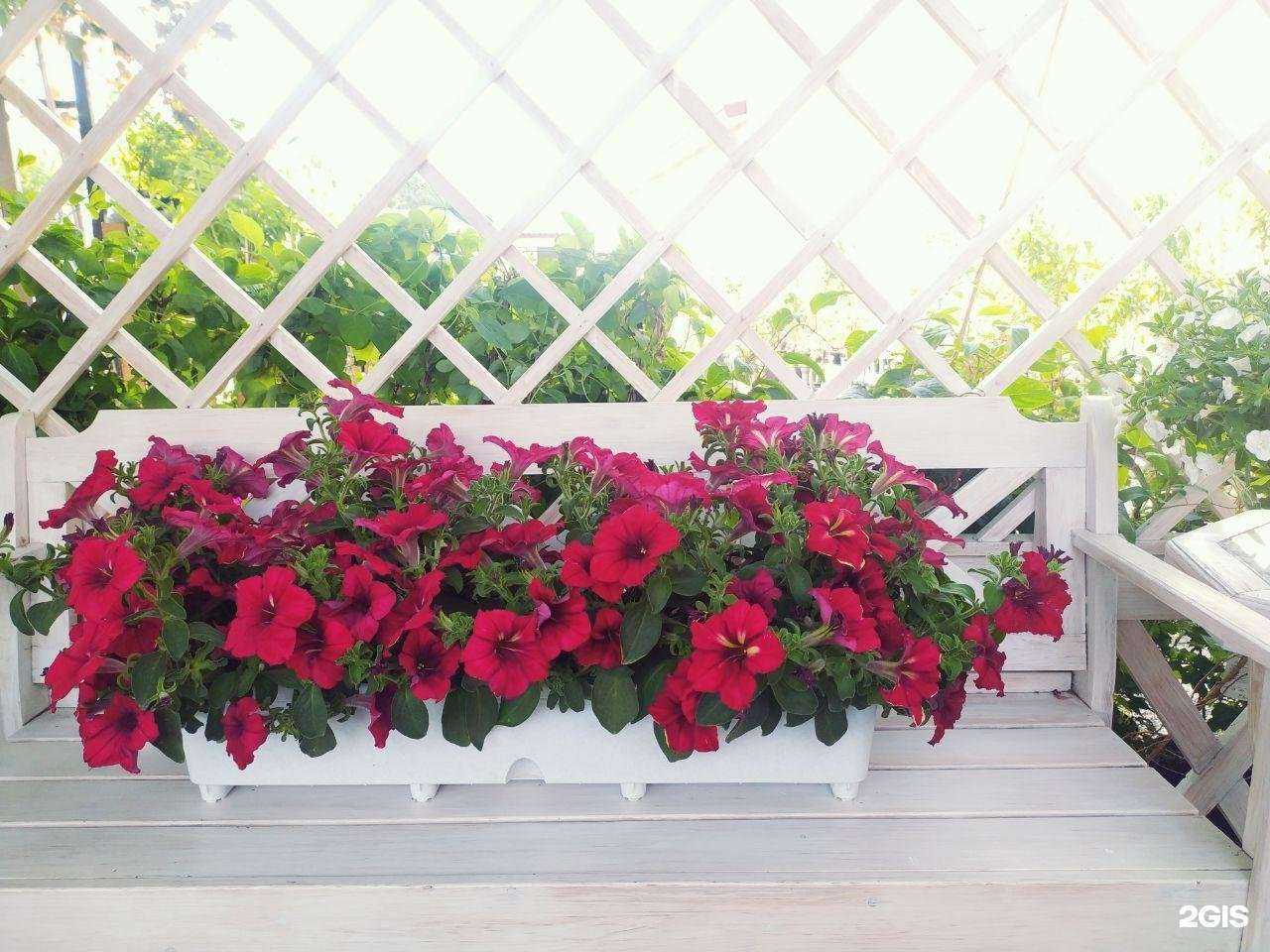 Отзывы на компанию GREEN PARAD в Астрахани c фото