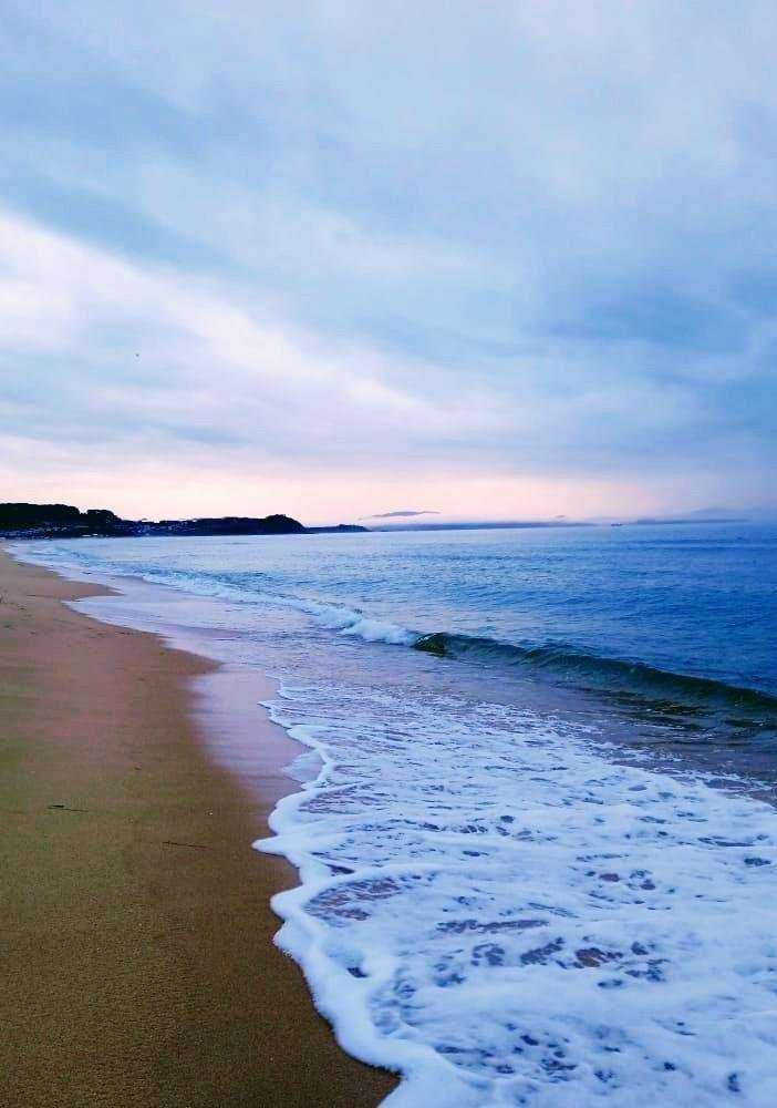 Отзывы на компанию Мечта в Находке c фото