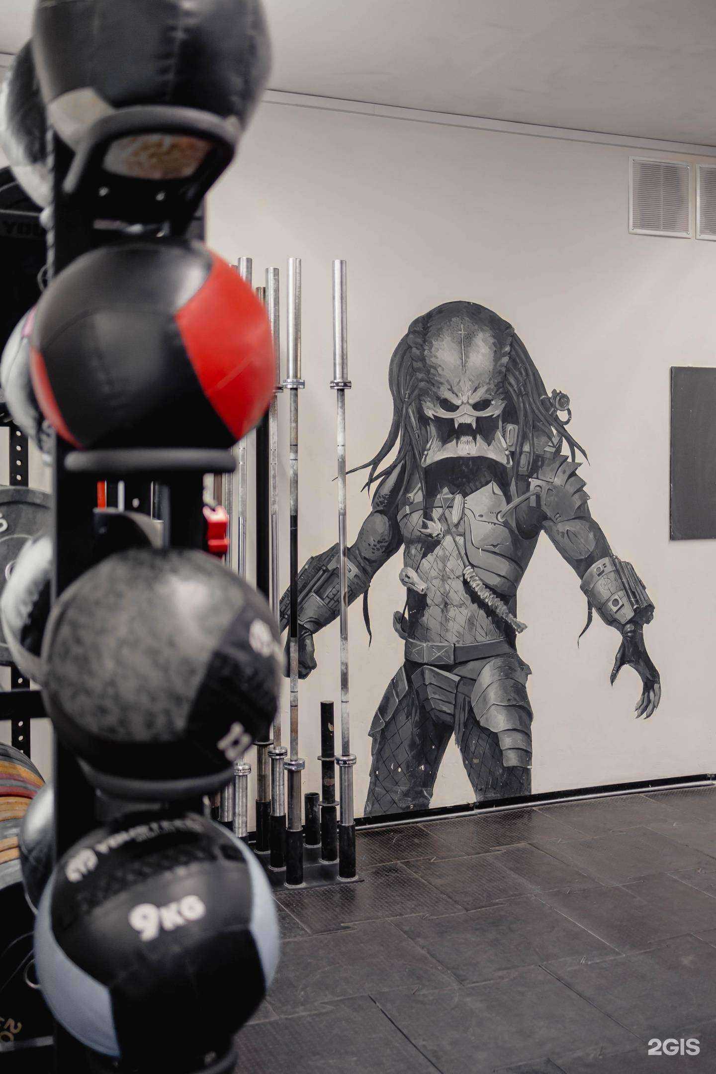 Отзывы на компанию Fitness Park в Владимире c фото