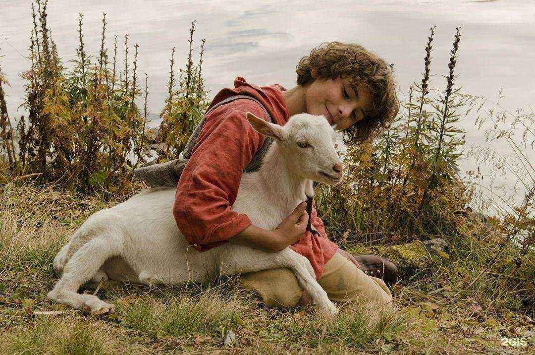 Отзывы на компанию Каро 7 в Калининграде c фото