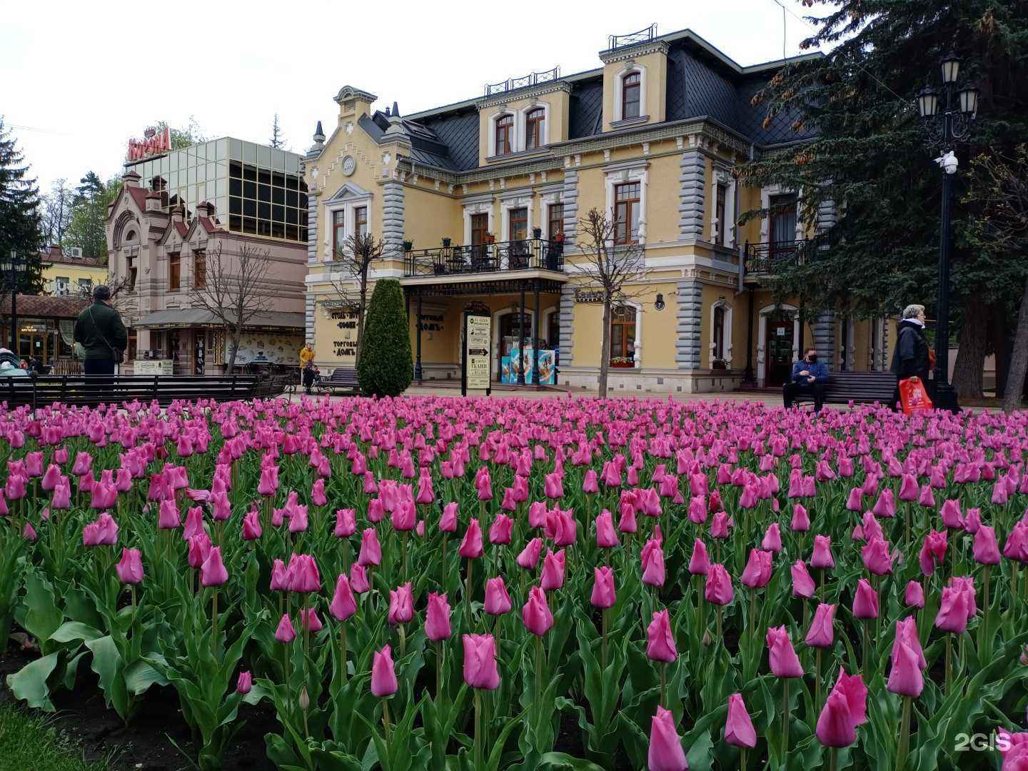 Отзывы на компанию Кашемир в Кисловодске c фото - фотография 2 из 2