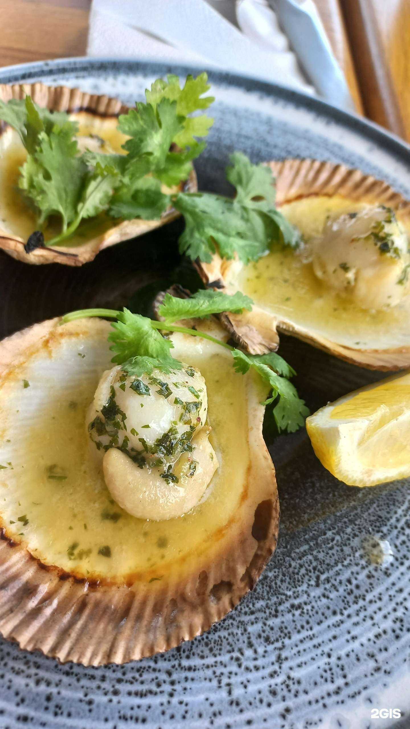 Отзывы на компанию Вижу море в г. Новороссийск c фото