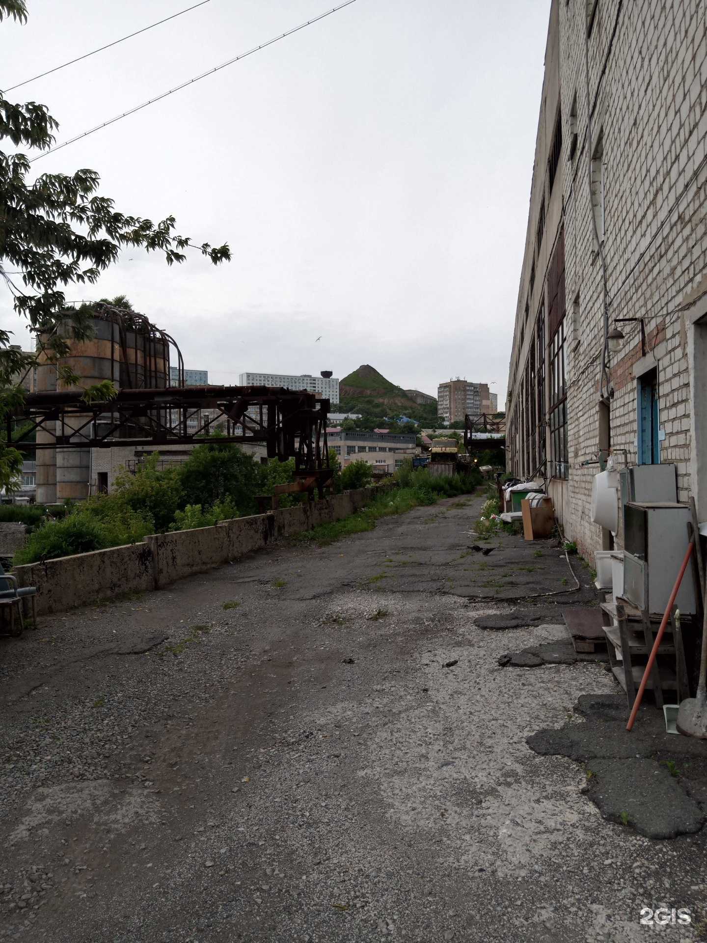 Отзывы на компанию Ногтевая студия в Владивостоке c фото - фотография 2 из 2