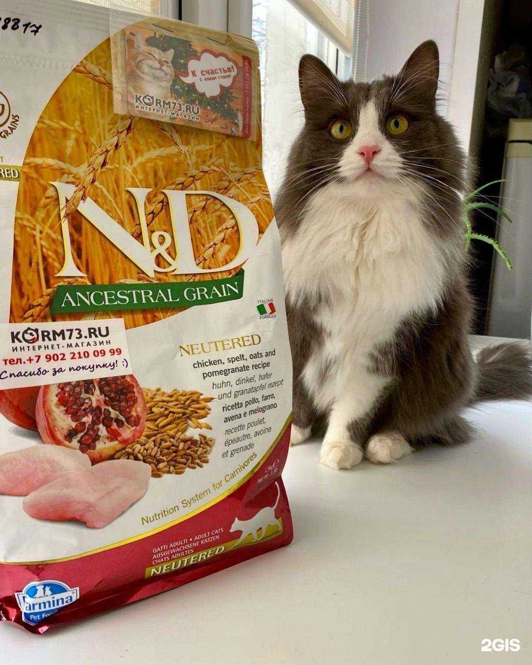 Отзывы на компанию Korm73 в Димитровграде c фото