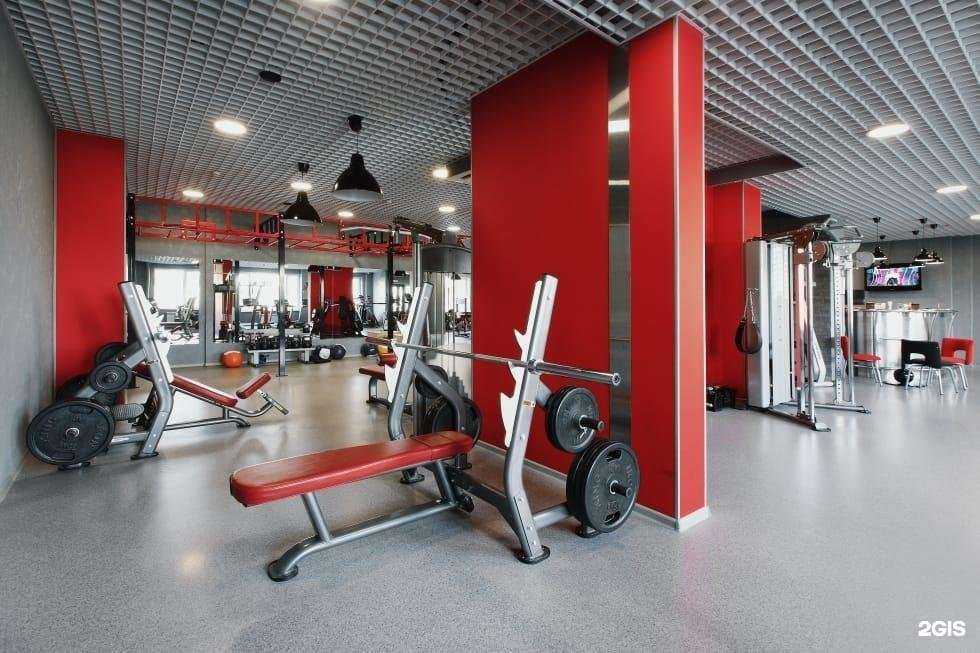 Отзывы на компанию Arnold gym в г. Люберцы c фото