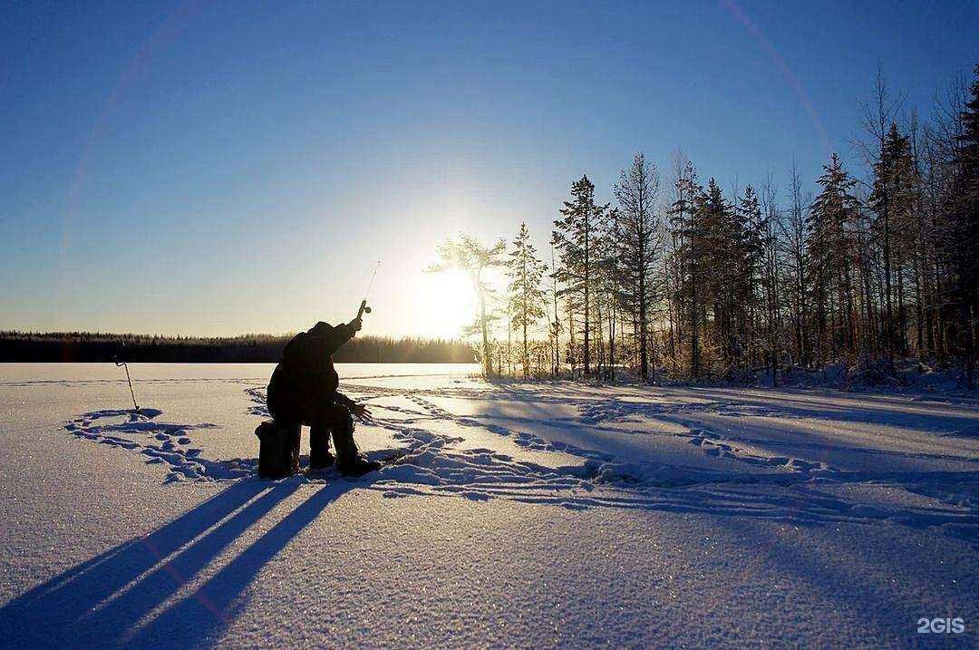Отзывы на компанию Охота на рыбалку в Сургуте c фото