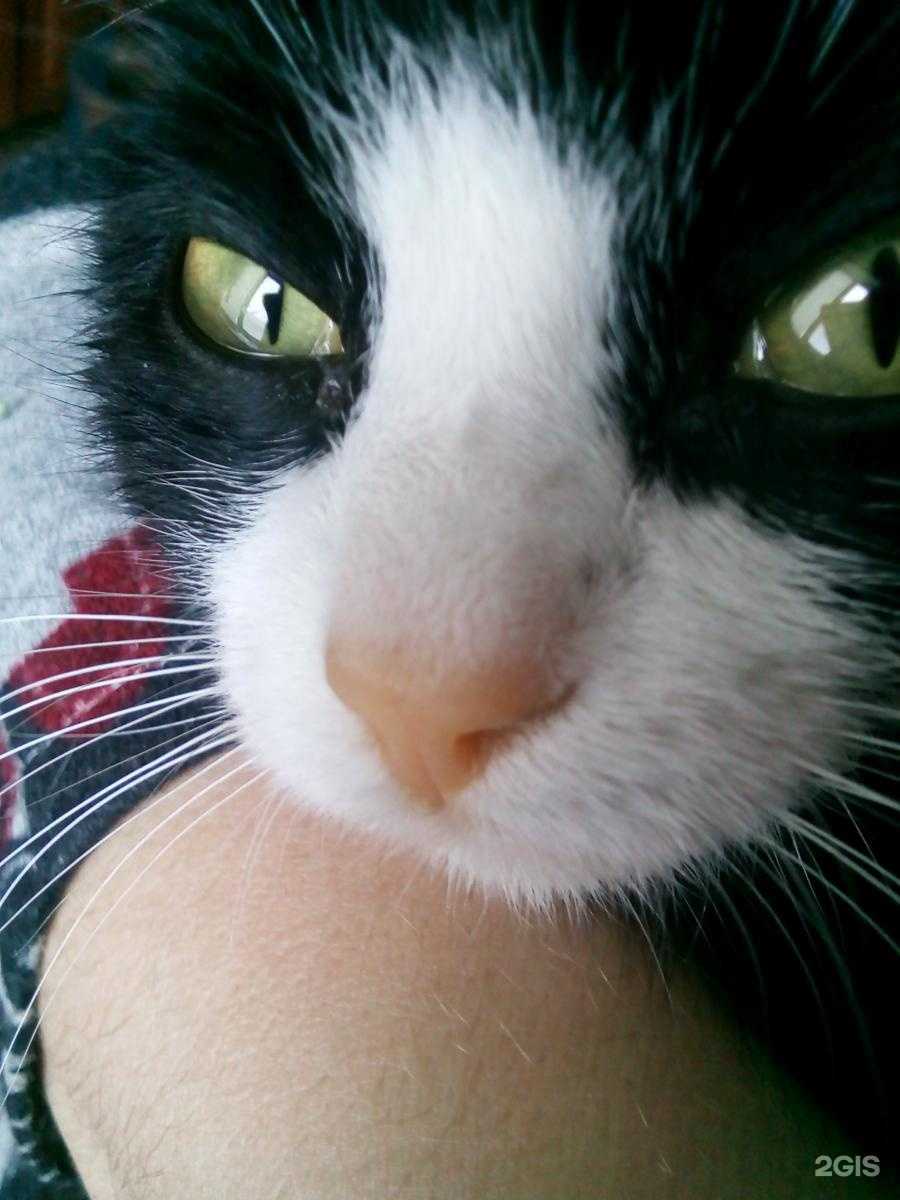 Отзывы на компанию Баст в Омске c фото