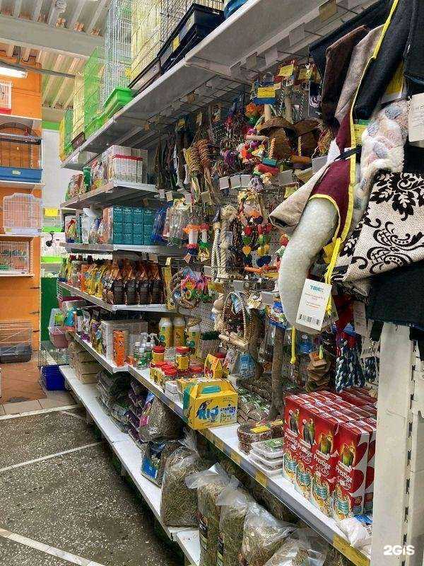 Отзывы на компанию Зайцы в Омске c фото