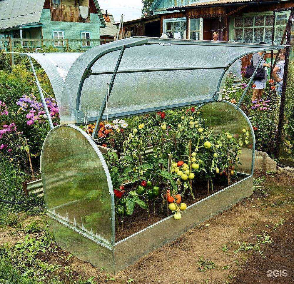 Отзывы на компанию Сота в Иркутске c фото