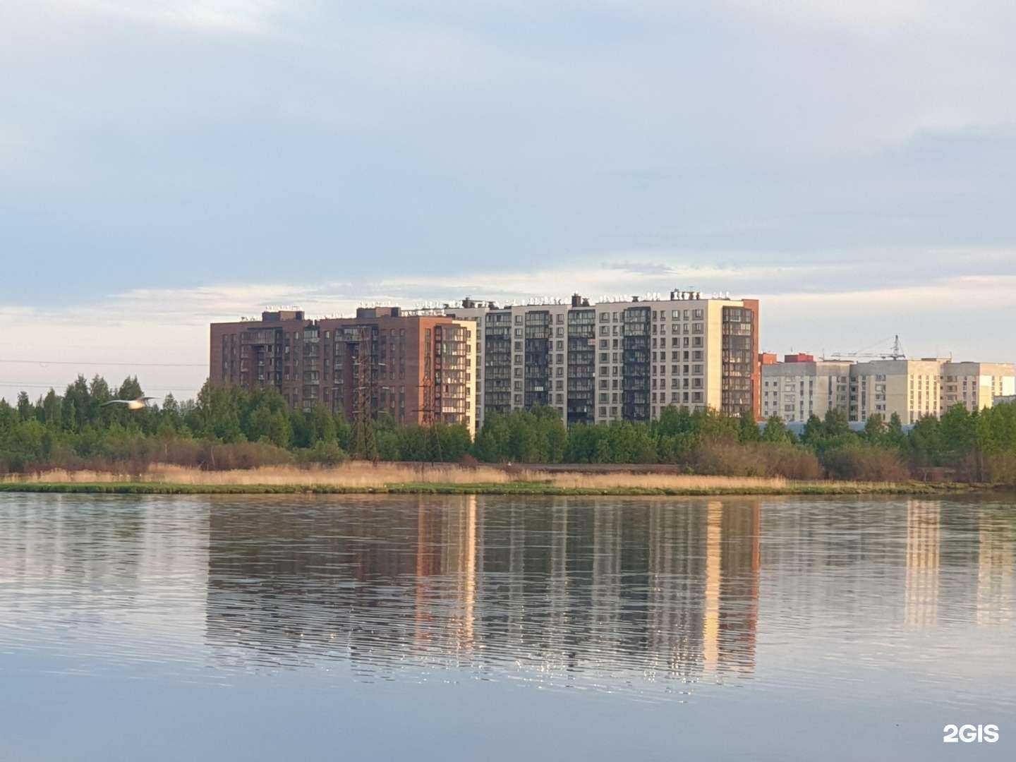 Отзывы на компанию Gladko в г. Северодвинск c фото