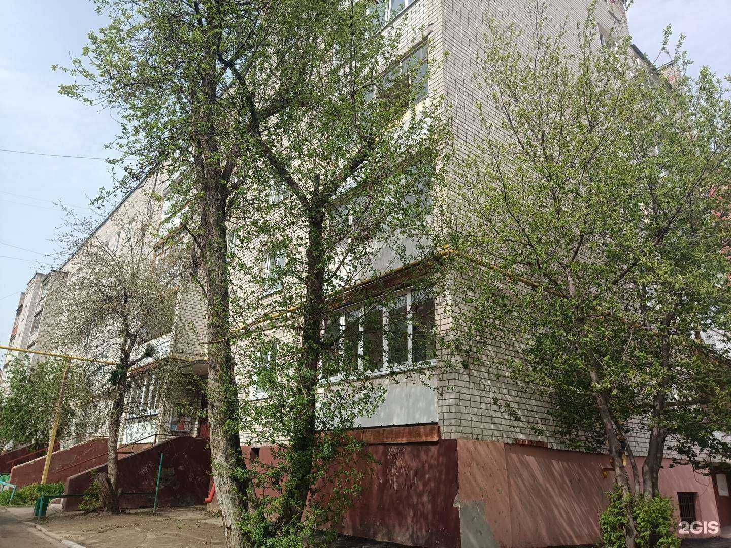 Отзывы на компанию Новодент в Йошкар-Оле c фото - фотография 2 из 2