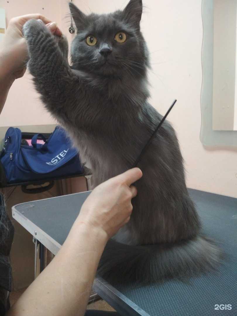 Отзывы на компанию ЛедиМур в Челябинске c фото