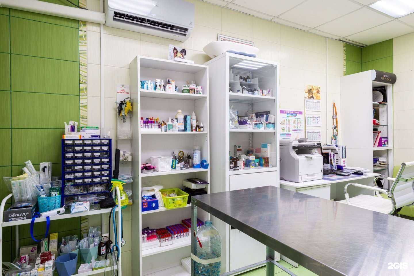 Отзывы на компанию Мой питомец в Химках c фото