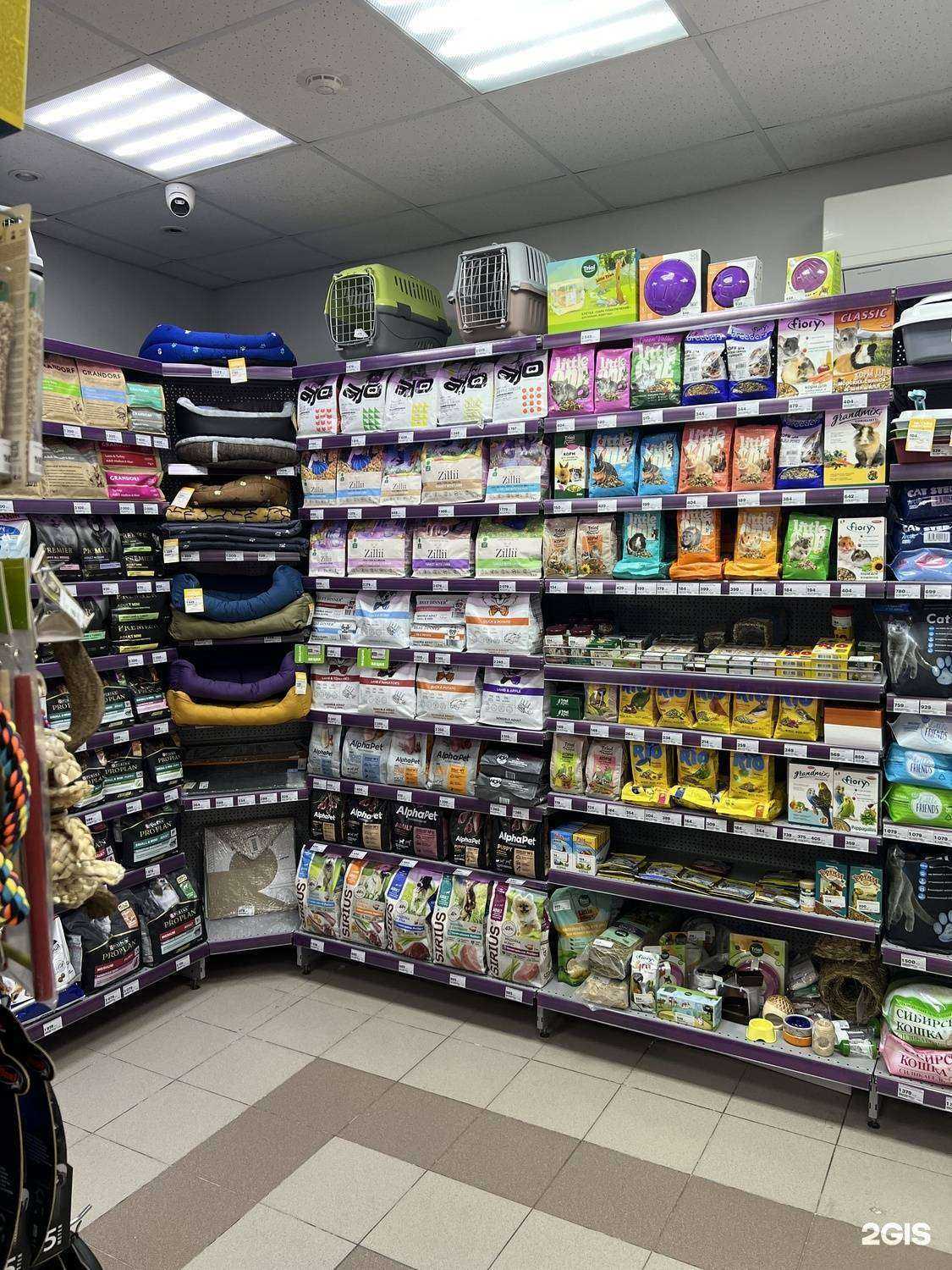 Отзывы на компанию Мокрый нос в г. Саратов c фото