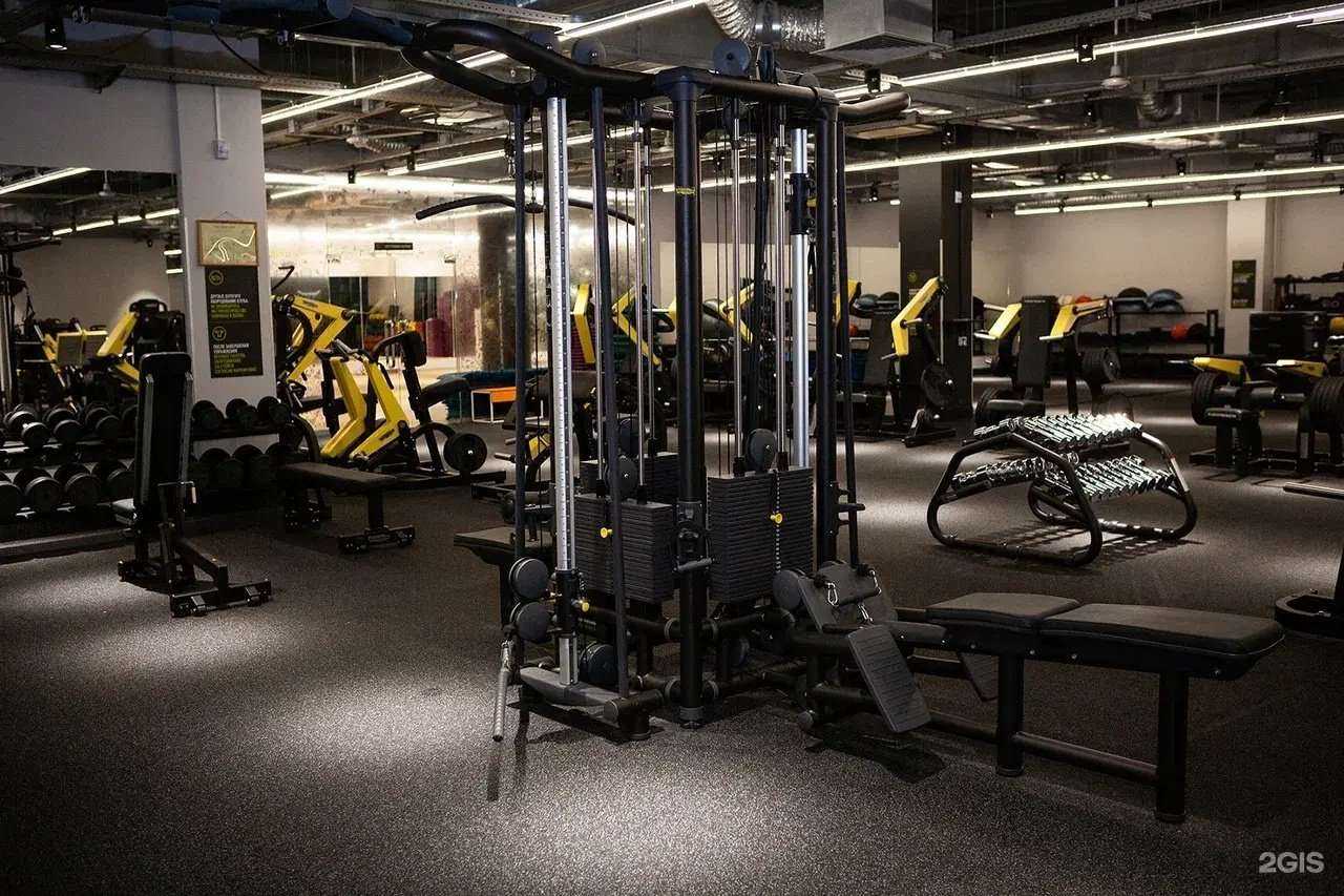 Отзывы на компанию Alex Fitness в г. Рязань c фото