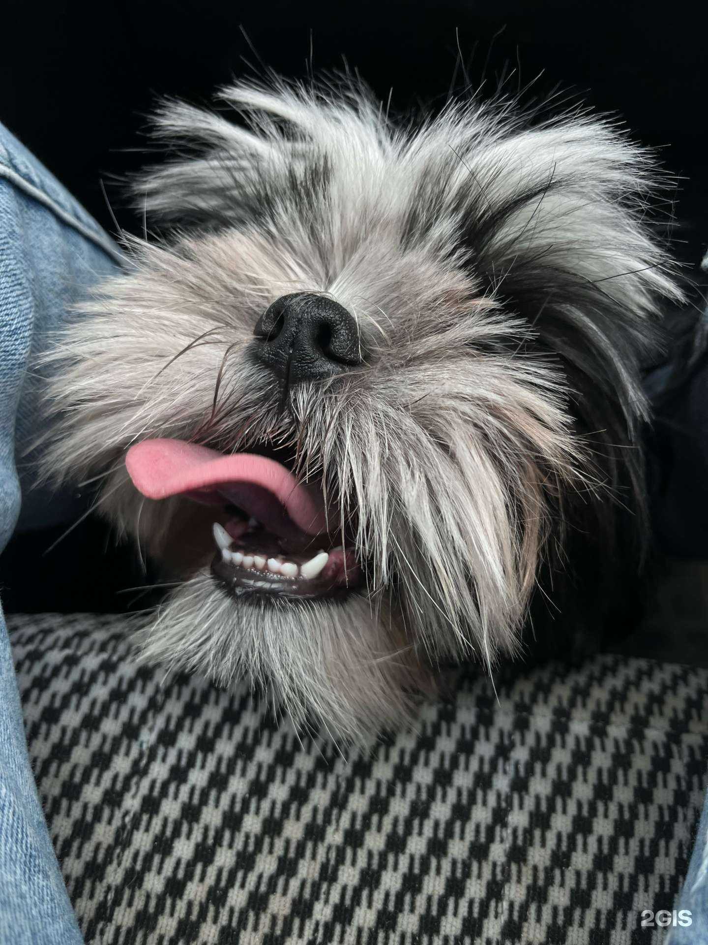 Отзывы на компанию Слон в г. Самара c фото