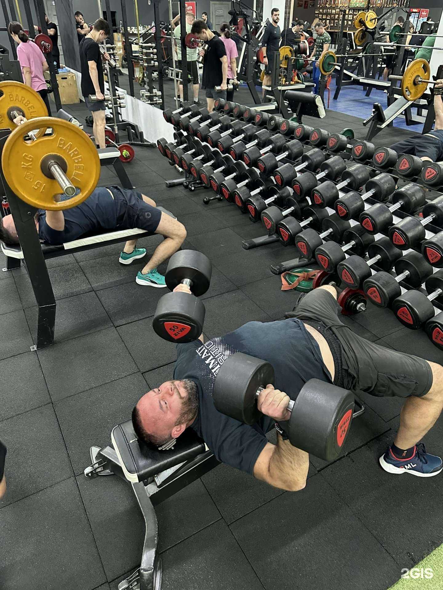 Отзывы на компанию Витязь в Минеральных Водах c фото