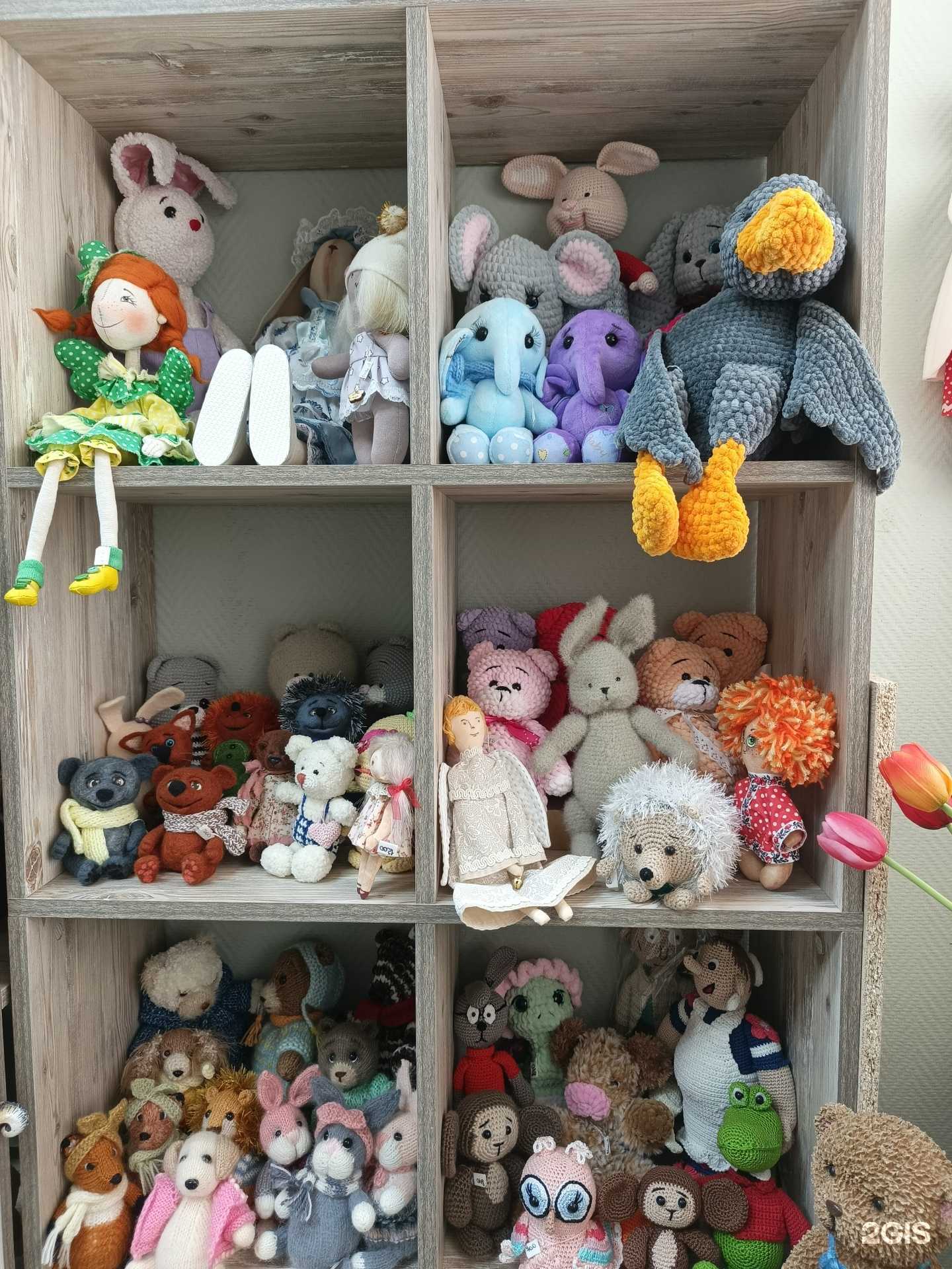 Отзывы на компанию Подари в Димитровграде c фото