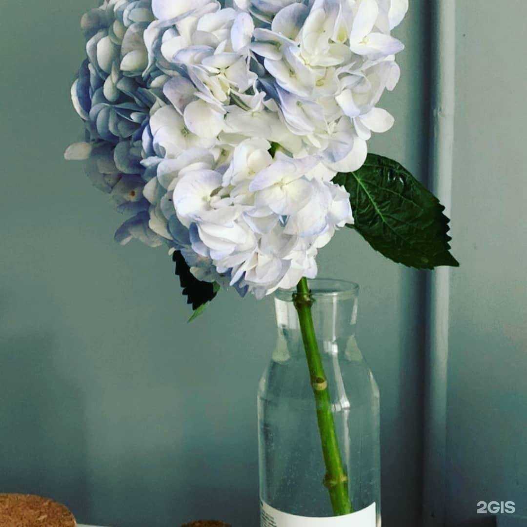 Отзывы на компанию Стоматология доктора Маслова в Нефтекамске c фото