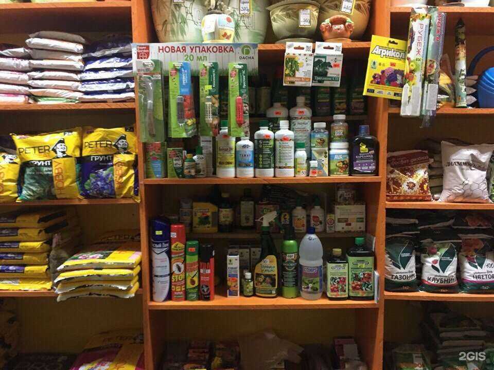 Отзывы на компанию Луковка в Ярославле c фото