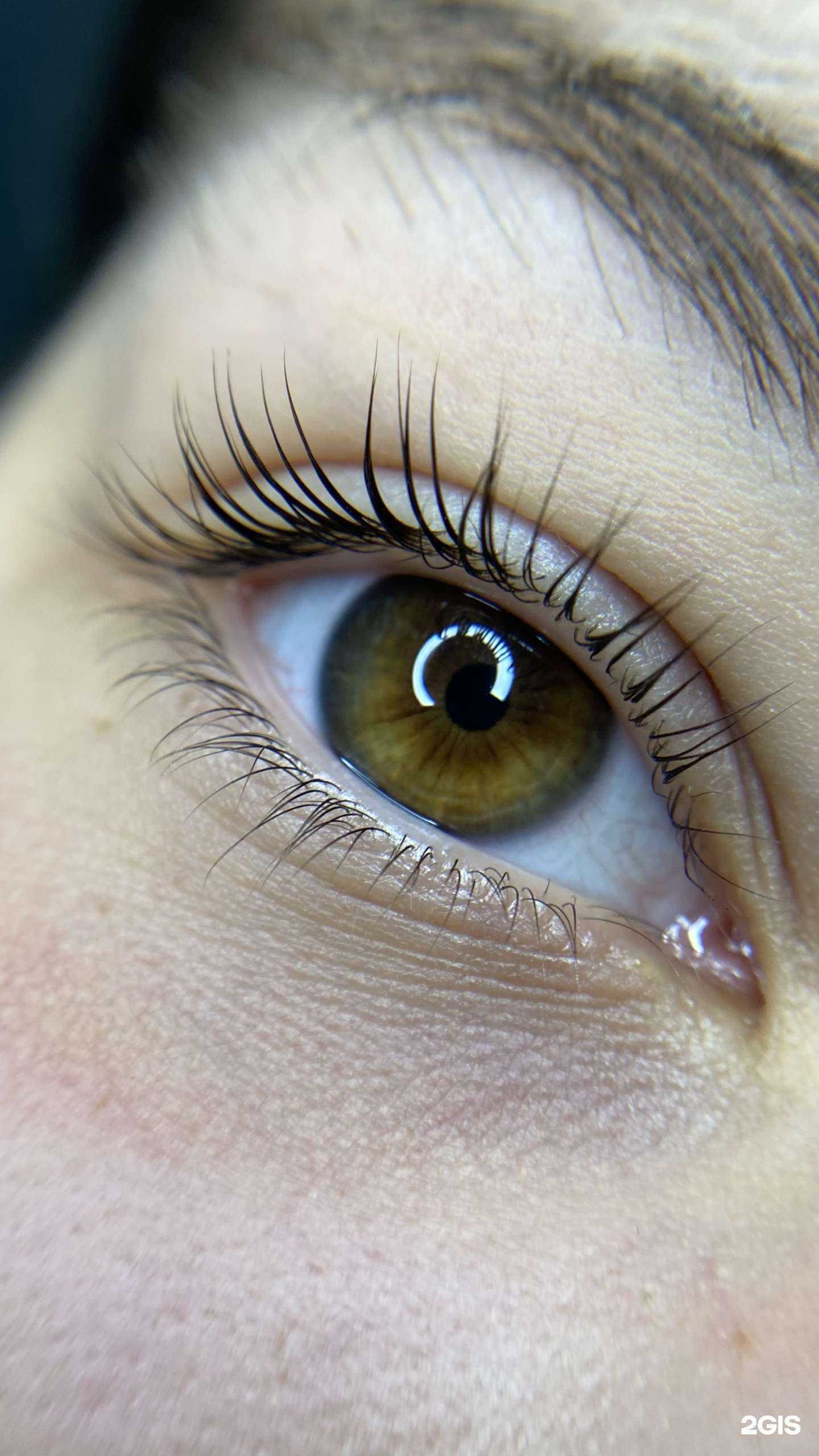 Отзывы на компанию Студия оформления бровей и ресниц в Новокуйбышевске c фото