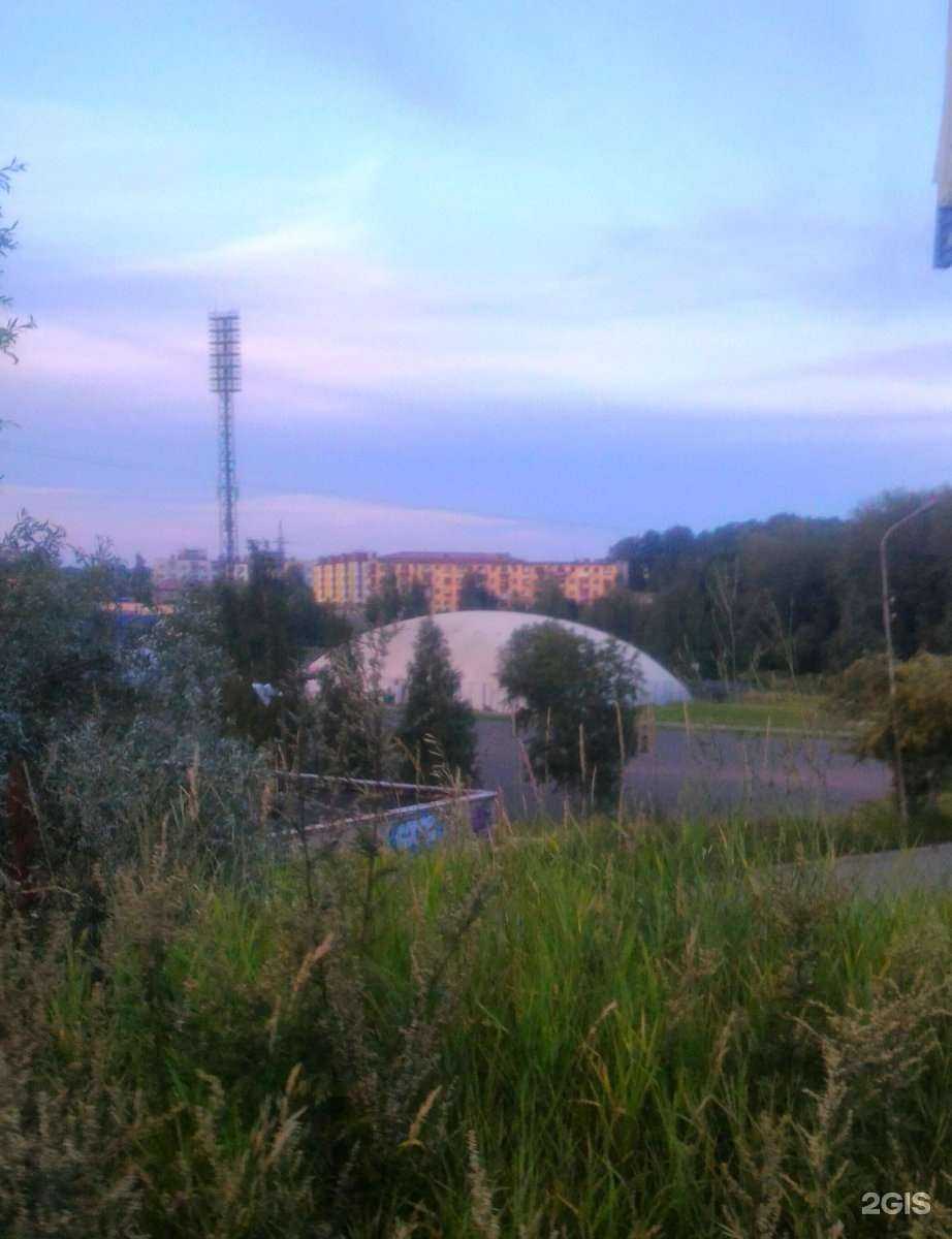 Отзывы на компанию Спартак в Петрозаводске c фото