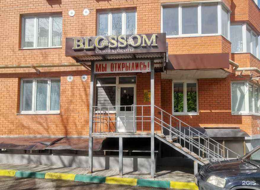 Отзывы на компанию Blossom в Туле c фото