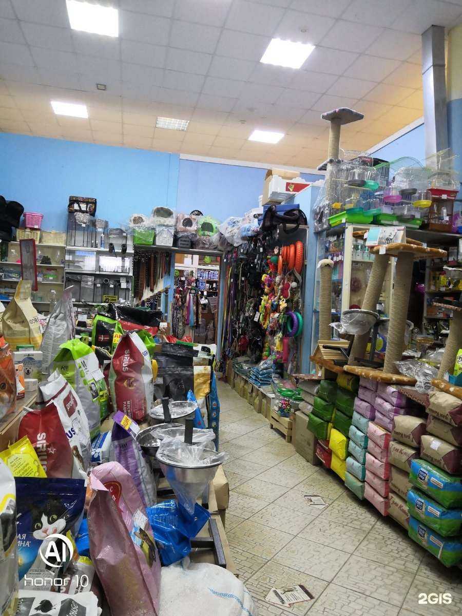 Отзывы на компанию Всё для животных в г. Курск c фото