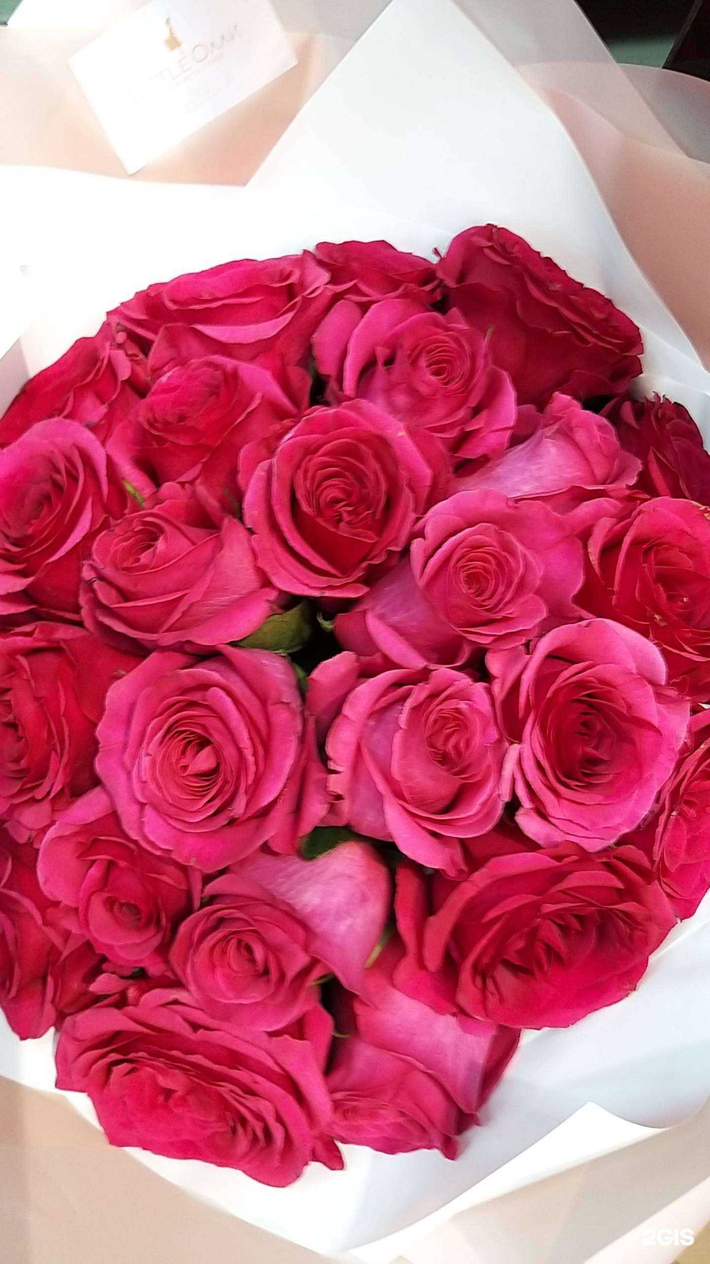 Отзывы на компанию Эдем в Новочебоксарске c фото