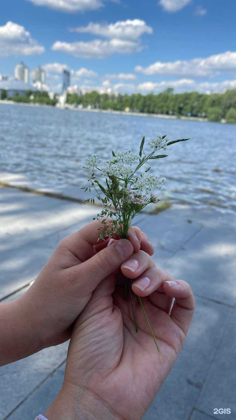 Отзывы на компанию Нюд в Екатеринбурге c фото