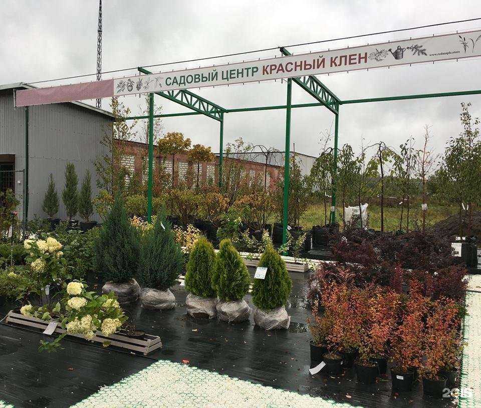 Отзывы на компанию Kodamatools.ru в Туле c фото