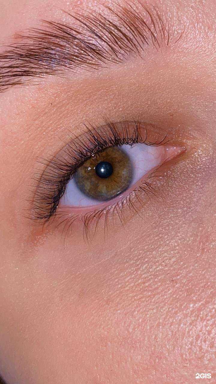 Отзывы на компанию Brows&Lashes в Курске c фото