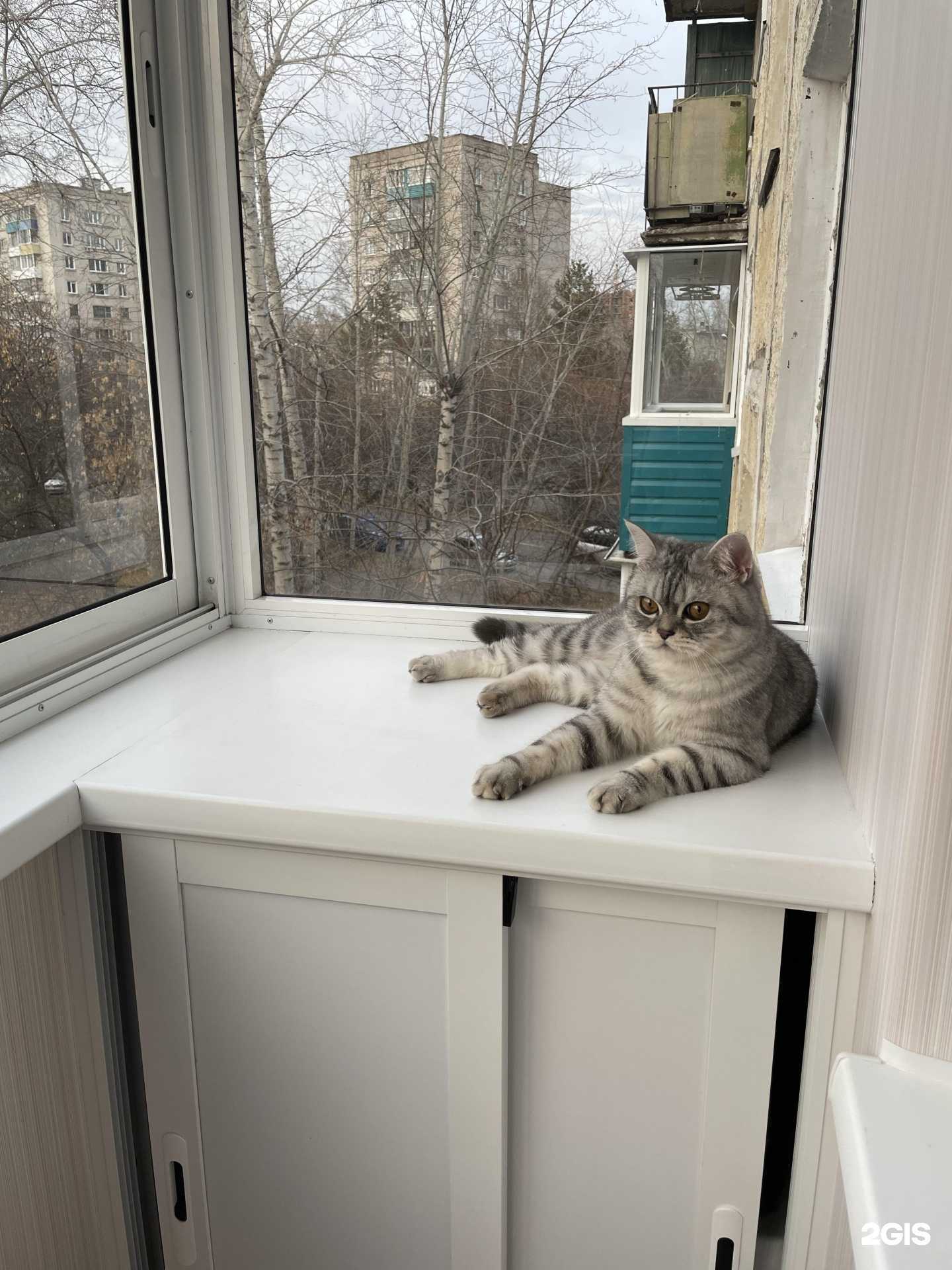 Отзывы на компанию Панацея в г. Комсомольск-на-Амуре c фото