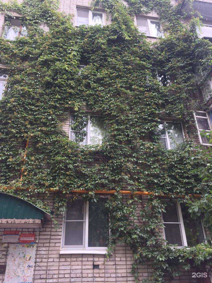 Отзывы на компанию Детская школа искусств №2 им. В.П.Трифонова в Вологде c фото - фотография 2 из 2