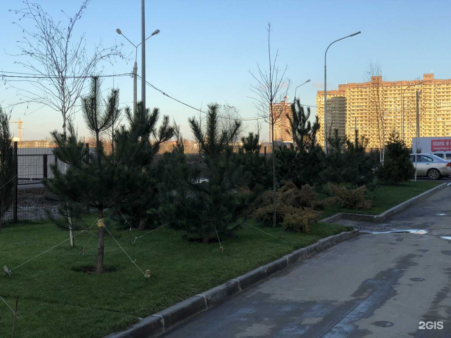 Отзывы на компанию Изумрудный город в Краснодаре c фото - фотография 2 из 2