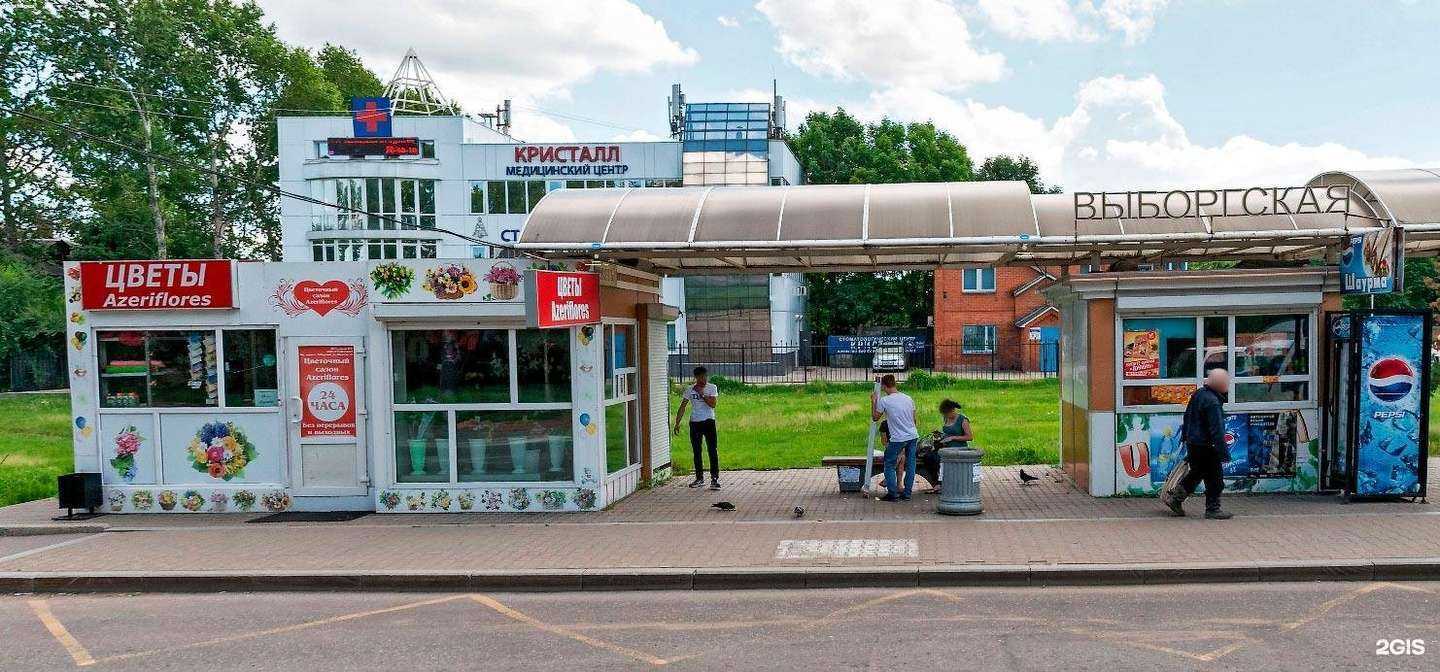 Отзывы на компанию Azeriflores в Хабаровске c фото