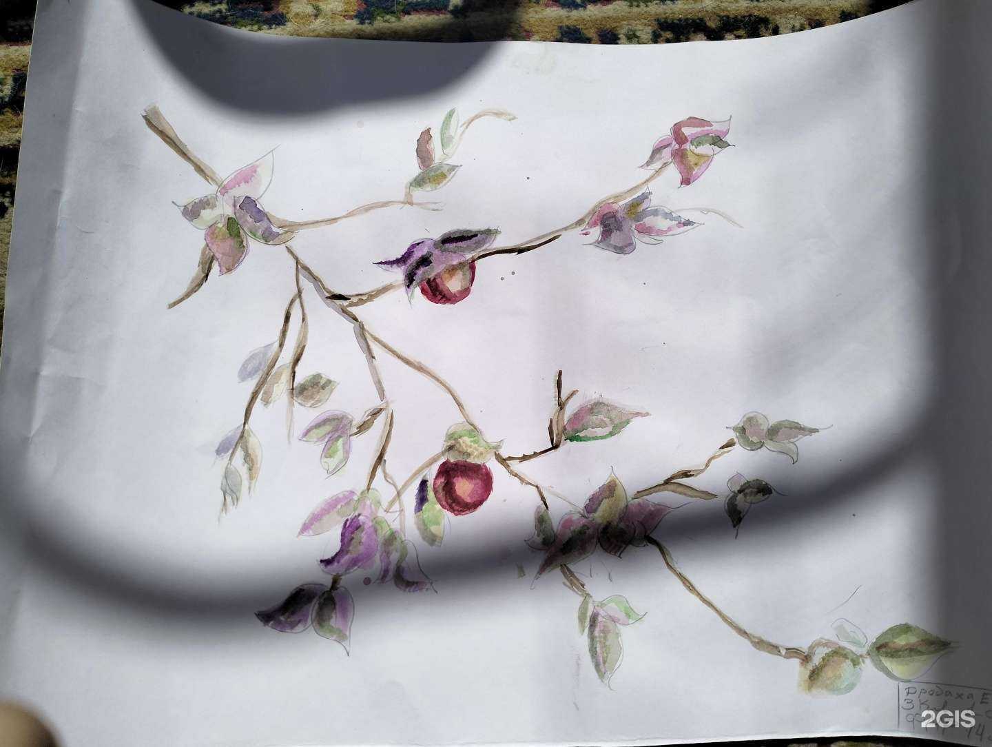 Отзывы на компанию Империя пикчер в г. Краснодар c фото