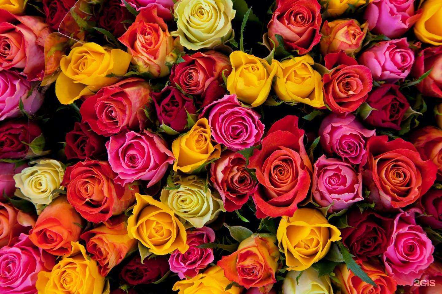 Отзывы на компанию Городские цветы 74 в Челябинске c фото