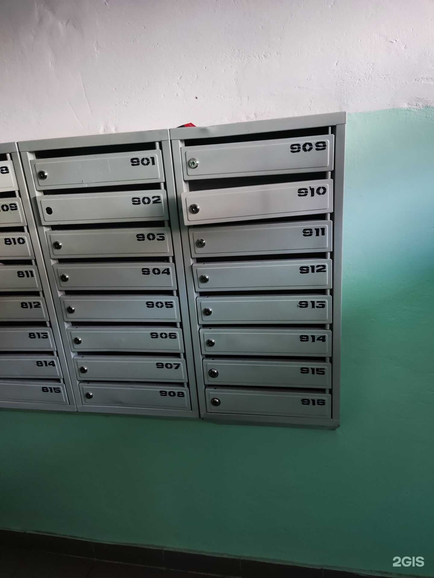 Отзывы на компанию Мудрая Сова в Вологде c фото - фотография 2 из 2