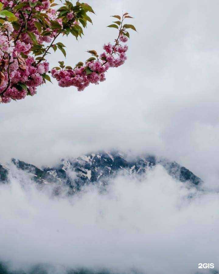 Отзывы на компанию Вокруг Сочи в г. Сочи c фото