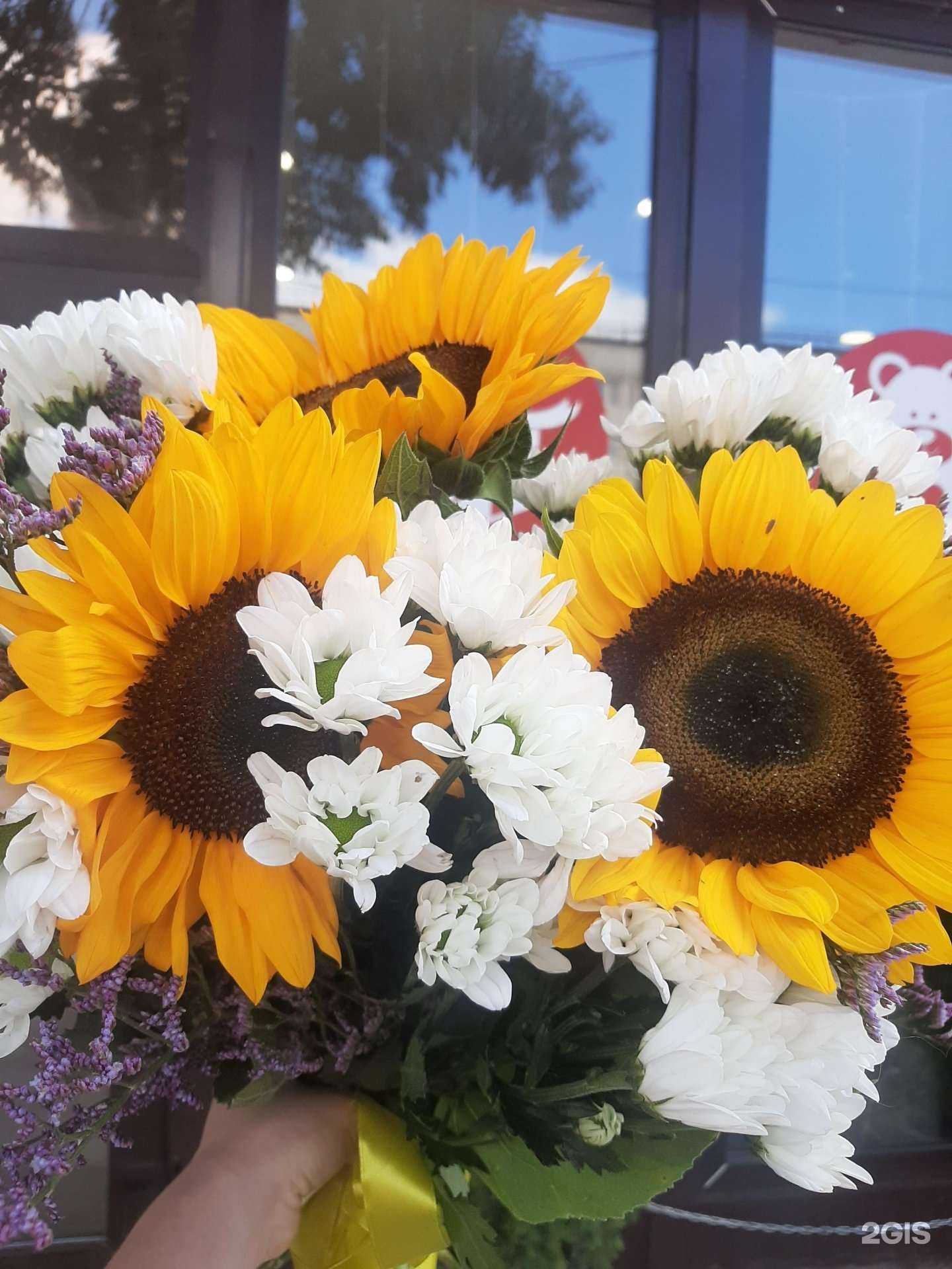 Отзывы на компанию Цветlоff  в Уфе c фото