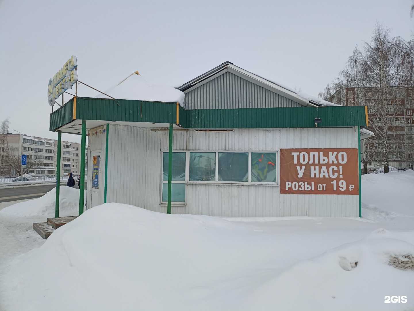 Отзывы на компанию Планета цветов в Набережных Челнах c фото - фотография 2 из 2