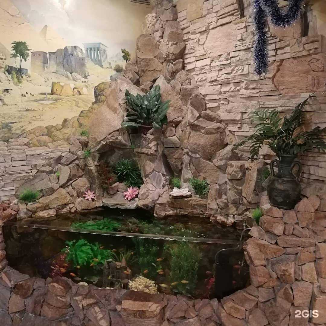 Отзывы на компанию Оазис в Барнауле c фото